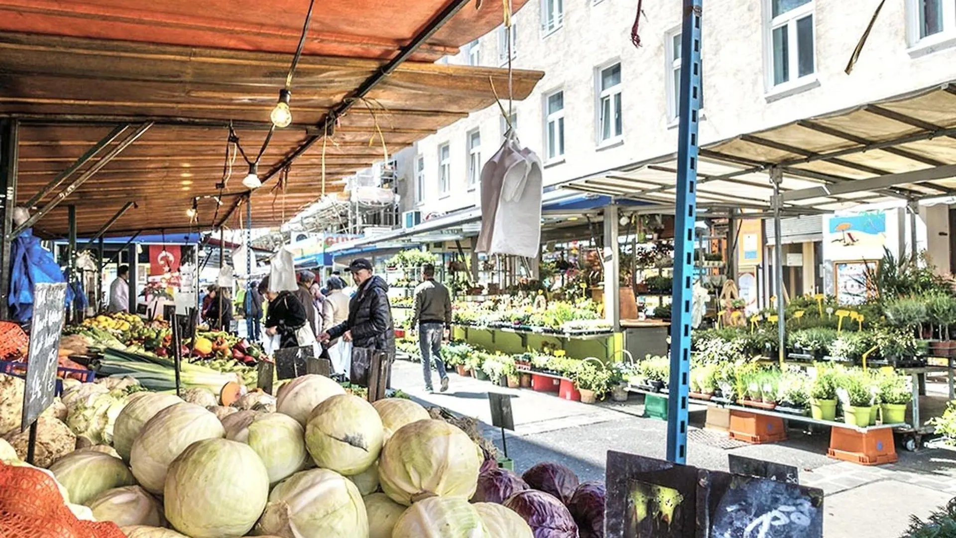 Sonnige Wohnung Beim Yppenplatz Viyana Avusturya
